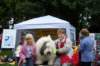 tynwaldfair200822_small.jpg