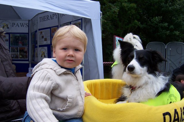 tynwaldfair20086.jpg